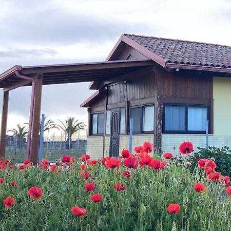 Spiaggia Le Dune Residence Margherita Di Savoia Bagian luar foto